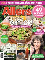 Allers SE